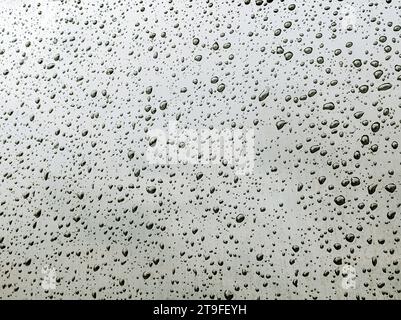Wasser oder Regentropfen auf einem schwarzen Glas. Abstrakter Texturhintergrund. Stockfoto