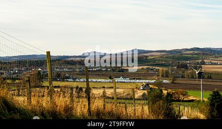 Dundee, Tayside, Schottland, Großbritannien. November 2023. Wetter in Großbritannien: Temperaturen erreichten 1°C aufgrund des kalten und frostigen Wetters. Die frühe Wintersonne mit kaltem, frostigem Wetter bietet wunderschöne Panoramablicke über die Sidlaw Hills und das Strathmore Valley im ländlichen Dundee. Quelle: Dundee Photographics/Alamy Live News Stockfoto