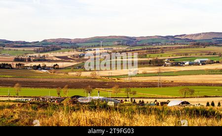 Dundee, Tayside, Schottland, Großbritannien. November 2023. Wetter in Großbritannien: Temperaturen erreichten 1°C aufgrund des kalten und frostigen Wetters. Die frühe Wintersonne mit kaltem, frostigem Wetter bietet wunderschöne Panoramablicke über die Sidlaw Hills und das Strathmore Valley im ländlichen Dundee. Quelle: Dundee Photographics/Alamy Live News Stockfoto