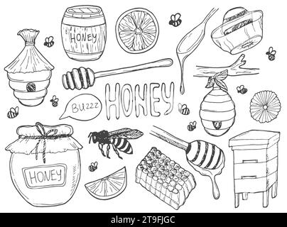 Honig- und Imkereisammlung. Doodle, Umrissdarstellung. Set aus Bienen, Honiggläsern, Bienenstöcke, Blumen, Wabenblumen und Honiglöffeln. Isoliert handgezeichnet Stock Vektor