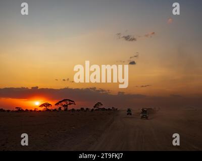 Die Sonne untergeht über den Akazienbäumen neben der Straße des Amboseli-Nationalparks, Kenia, Afrika. Platz für Text Stockfoto