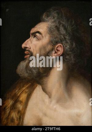 Studienleiter eines bärtigen Mannes um 1565 von Frans Floris Stockfoto