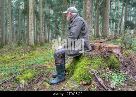 Herbstmeditation, ein einsamer Mann sitzt auf einem Baumstumpf im Wald und genießt die Stille. Stockfoto