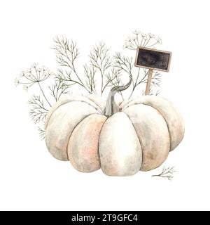 Aquarellkomposition mit weißem Kürbis, Dill und Inschrift. Handgezeichnet, Zeichnung auf weißem Hintergrund. Für Design, Poster, Menüs Stockfoto