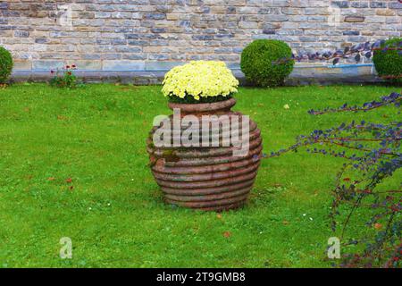 Helle Blumen in Vase in Cantacuzino Castle, Busteni, Rumänien Stockfoto