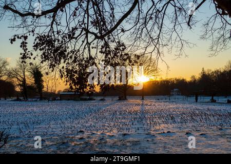 Sonnenuntergang auf einer verschneiten Wiese nahe Baden-Baden Stockfoto