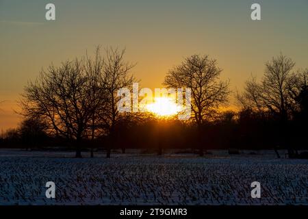 Sonnenuntergang auf einer verschneiten Wiese nahe Baden-Baden Stockfoto