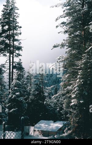 Schöne Winterstimmung mit viel Schnee und Nebel. Stockfoto