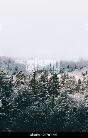Eine große Nebelwolke bedeckt den Gipfel eines schneebedeckten Berges. Stockfoto
