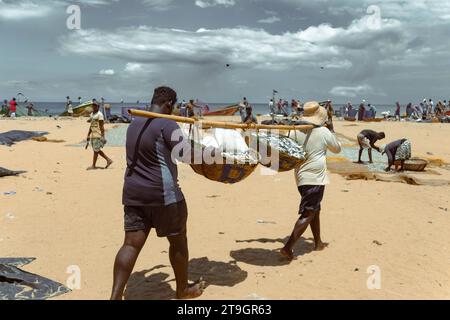 Zwei Männer tragen eine Bambusstange mit zwei Körben Fisch, um in der Sonne in Negombo in Sri Lanka zu trocknen Stockfoto