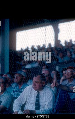 ST. PETERSBURG, FL - MÄRZ 1956: General Manager George Weiss von den New York Yankees sieht ein MLB Spring Training Spiel um März 1956 in St. Petersburg, Florida. (Foto von Hy Peskin) *** örtlicher Bildtitel *** George Weiss Stockfoto