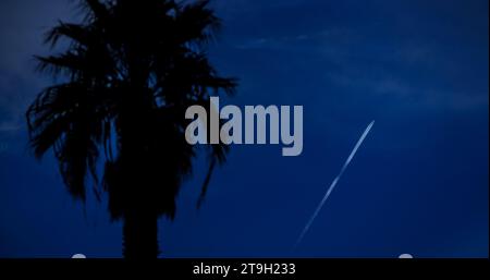 Palme in Silhouette mit einem Flugzeug, das hoch darüber vorbeizieht und einen leuchtenden Kondensationspfad über dem tiefblauen Abendhimmel hinterlässt. Stockfoto