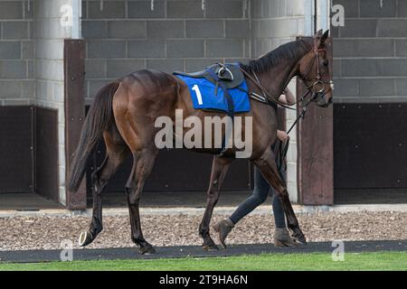 ESPRIT de Somoza wird herumgeführt Stockfoto