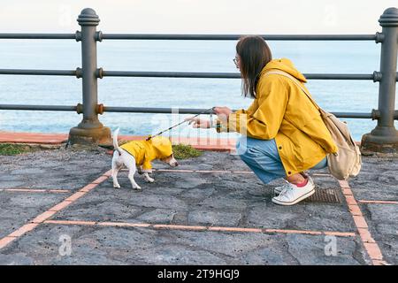 Frau in gelber Jacke, die an einem Frühlings- oder Herbsttag mit ihrem niedlichen Jack Russell Terrier einen Spaziergang am Meer macht Stockfoto