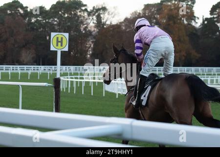 Ascot, Berkshire, Großbritannien. November 2023. Der von Jockey Harry Cobden (rosa Seide) geführte Spaziergang des Pferderegents gewinnt das Nirvana Spa Open National Hunt Flat Race beim November Racing Saturday Meeting auf der Ascot Racecourse. Dies war der vierte Sieg des Tages für Jockey Harry Cobden und Trainer Paul Nicholls. Besitzer Chris Giles. Trainer Paul Nicholls. Züchterin Rita Kent. Sponsor Der Morton Group. Quelle: Maureen McLean/Alamy Live News Stockfoto