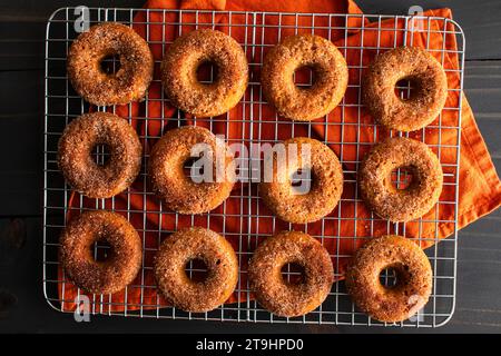 Baked Apple Cider Donuts with Cinnamon Sugar Coating: Ein Dutzend gebackener Donuts mit Zucker, einem Becher Apfelwein und Zimtstangen Stockfoto