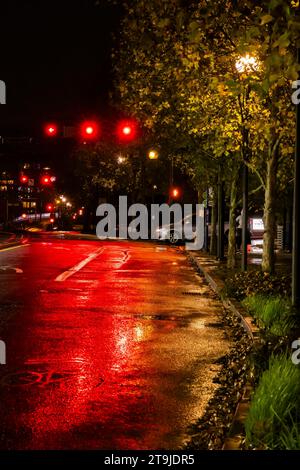 Die Straßen von Portland, Oregon, USA, reflektieren Verkehrsampeln in einer regnerischen Nacht Stockfoto