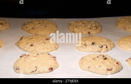 Nahaufnahme mit hausgemachten Cranberry Haferbrei-Keksen, die in einem heißen Ofen gebacken werden, halb fertig, bis sie noch aufstehen Stockfoto