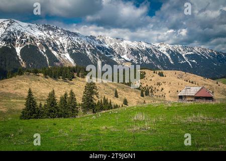 Malerische Frühlingslandschaft mit klappriger Holzhütte und hochverschneiten Piatra Craiului Bergen, Pestera Dorf, Siebenbürgen, Rumänien, Europa Stockfoto