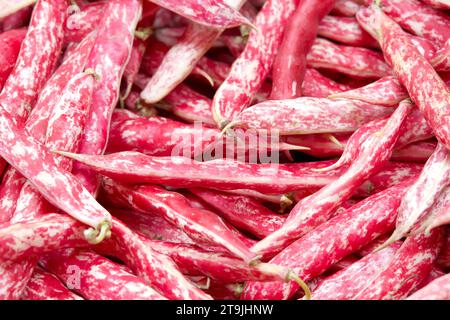 Nahaufnahme eines Haufen bunter Preiselbeerbohnen zum Verkauf auf dem Bauernmarkt. Stockfoto