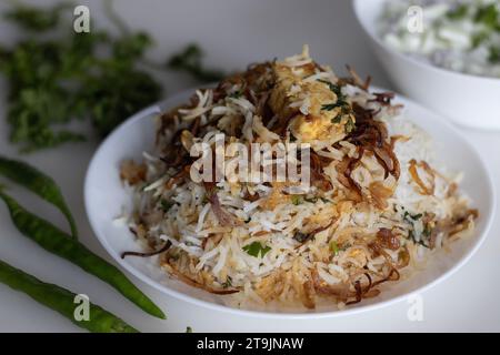 Köstlich duftender Paneer Biryani, ein lebendiges indisches Reisgericht aus Basmati-Reis, kombiniert mit aromatischen Gewürzen, Paneerwürfeln, Kräutern und Karameli Stockfoto