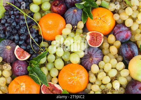 Heller Obsthintergrund, Draufsicht. Trauben, Feigen, Orangenmandarine und Pflaume mit grünen Blättern Stockfoto