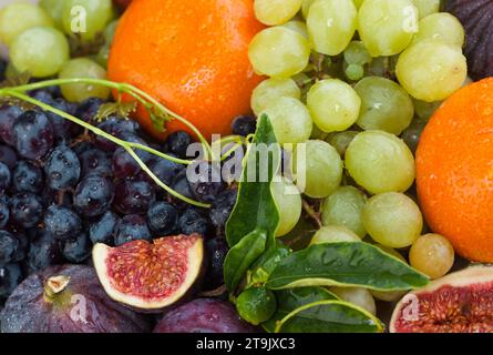 Farbenfrohe Obst-Nahaufnahme. Trauben, Feigen, Orangenmandarine mit grünen Blättern und Wassertau Stockfoto