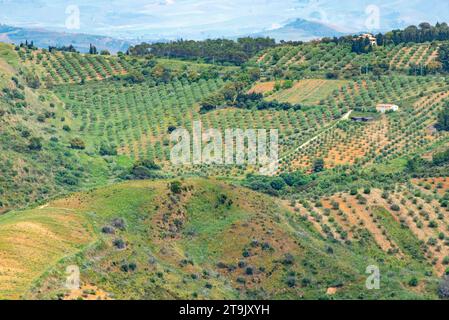 Landwirtschaftliche Felder in der Region Trapani - Sizilien - Italien Stockfoto