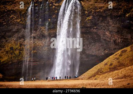 Island Seljalandsfoss Wasserfall mit seiner 196 ft (60 m) Kaskade Stockfoto