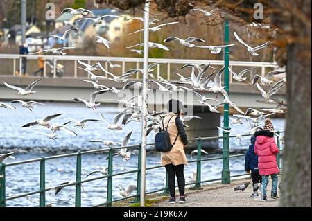 Viele Möwen tummeln sich im Winter in Gmunden am Traunsee Stockfoto