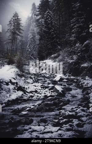 Erster Schnee in den italienischen Bergen Stockfoto