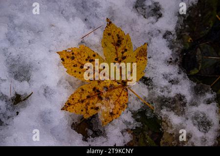 Erster Schnee in den italienischen Bergen Stockfoto