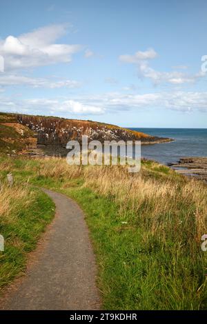 Northumberland Küstenpfad zu den sechseckigen Säulen aus Dolerit, die die Klippen am Cullernose Point Craster Northumberland England, Großbritannien, bilden Stockfoto