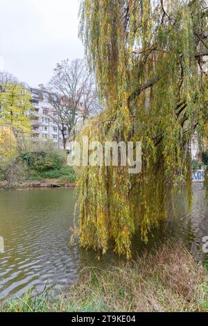 Litzensee Park, Herbst, Charlottenburg, Berlin Stockfoto