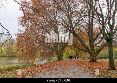 Litzensee Park, Herbst, Charlottenburg, Berlin Stockfoto