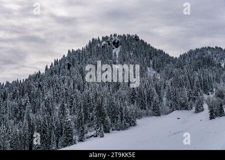 Anspruchsvolle Schneeschuhtour zum Tennenmooskopf auf der Nagelfluhkette in den Allgauer Alpen Stockfoto