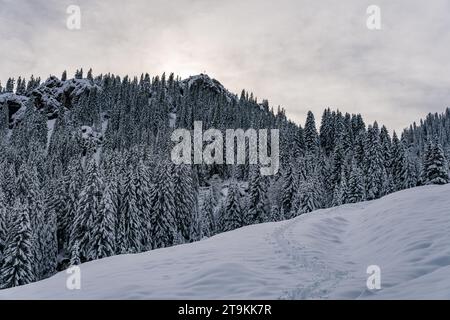 Anspruchsvolle Schneeschuhtour zum Tennenmooskopf auf der Nagelfluhkette in den Allgauer Alpen Stockfoto