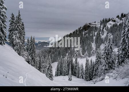 Anspruchsvolle Schneeschuhtour zum Tennenmooskopf auf der Nagelfluhkette in den Allgauer Alpen Stockfoto