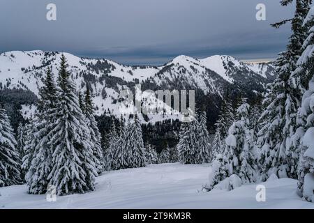 Anspruchsvolle Schneeschuhtour zum Tennenmooskopf auf der Nagelfluhkette in den Allgauer Alpen Stockfoto