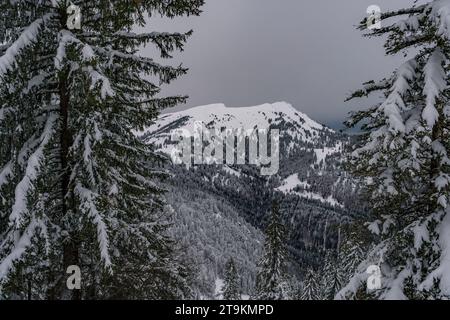 Anspruchsvolle Schneeschuhtour zum Tennenmooskopf auf der Nagelfluhkette in den Allgauer Alpen Stockfoto