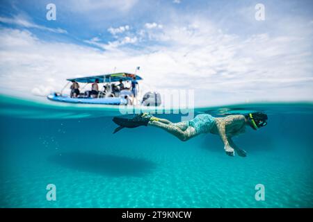 Schwimmen Sie bei Ebbe über dem Korallenriff der Mayotte Lagune im Indischen Ozean Stockfoto