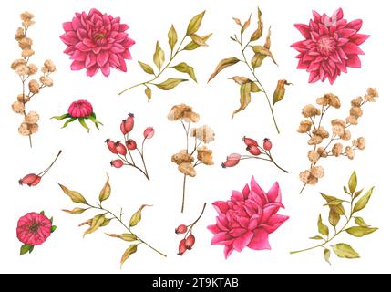 Dahlien, getrocknete Blumen, Hüftrosen, Chrysanthemen. Botanische Illustrationen mit Aquarellen. Elemente für die Gestaltung von Postern, Karten, Einladungen, Stockfoto