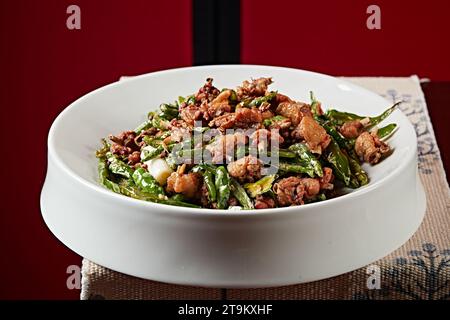 TIR Fried (Sautéed) Chicken en Casserole, Kung Pao Chicken Stockfoto