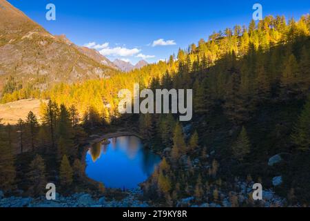 Herbstlicher Blick auf die Alpe Larecchio und den Larecchio See, Val Vogna, Riva Valdobbia, Valsesia, Provinz Vercelli, Piemont, Italien, Europa. Stockfoto