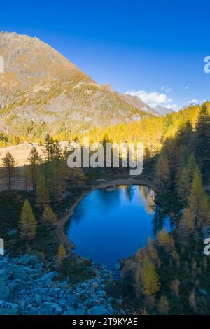 Herbstlicher Blick auf die Alpe Larecchio und den Larecchio See, Val Vogna, Riva Valdobbia, Valsesia, Provinz Vercelli, Piemont, Italien, Europa. Stockfoto