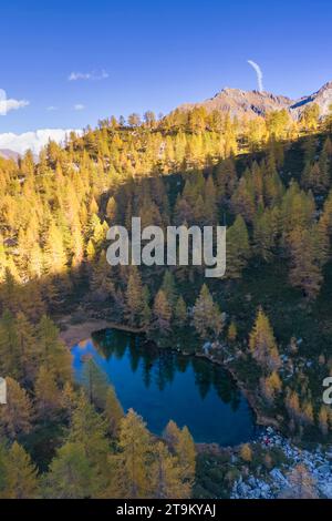 Herbstlicher Blick auf die Alpe Larecchio und den Larecchio See, Val Vogna, Riva Valdobbia, Valsesia, Provinz Vercelli, Piemont, Italien, Europa. Stockfoto