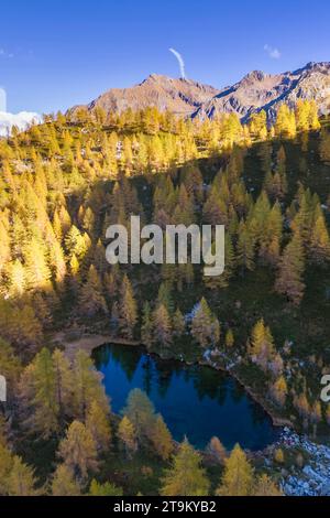 Herbstlicher Blick auf die Alpe Larecchio und den Larecchio See, Val Vogna, Riva Valdobbia, Valsesia, Provinz Vercelli, Piemont, Italien, Europa. Stockfoto