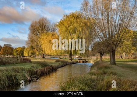 Ende November erstrahlte der blaue Sonnenhimmel im Bushy Park Surrey England UK Stockfoto