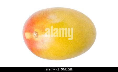 Mango Ganzes, isoliert auf weißem Hintergrund mit Beschneidungspfad, Element des Verpackungsdesigns. Draufsicht. Stockfoto