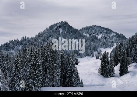 Anspruchsvolle Schneeschuhtour zum Tennenmooskopf auf der Nagelfluhkette in den Allgauer Alpen Stockfoto